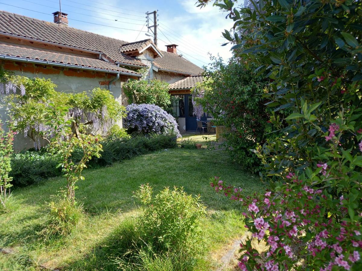 La Maison Molières Montauban Esterno foto