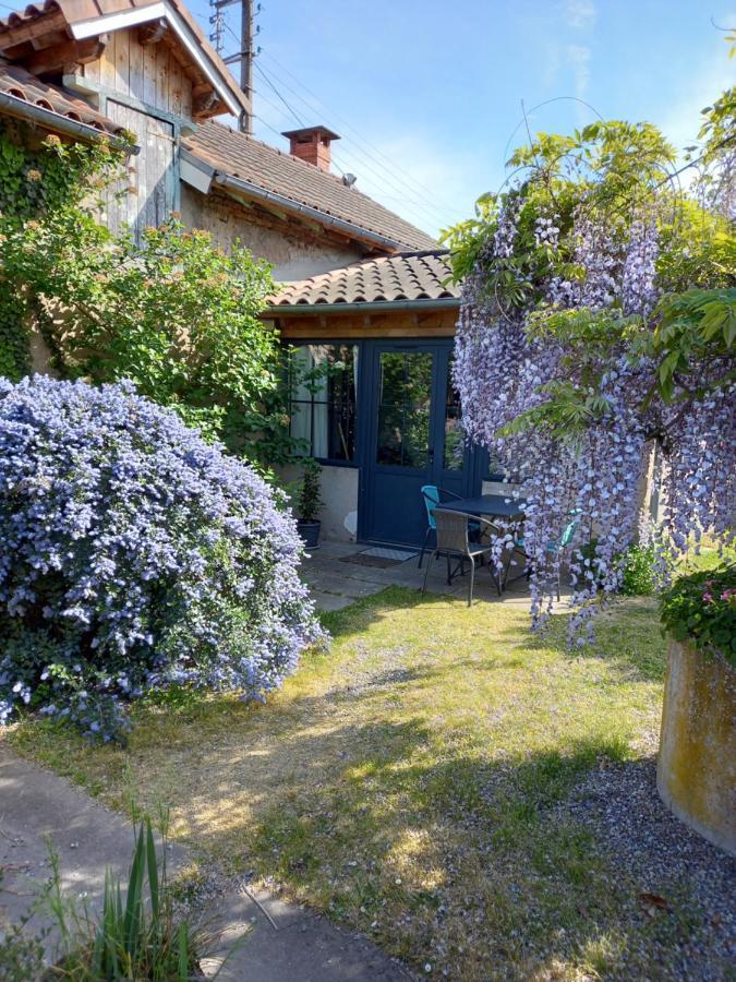 La Maison Molières Montauban Esterno foto