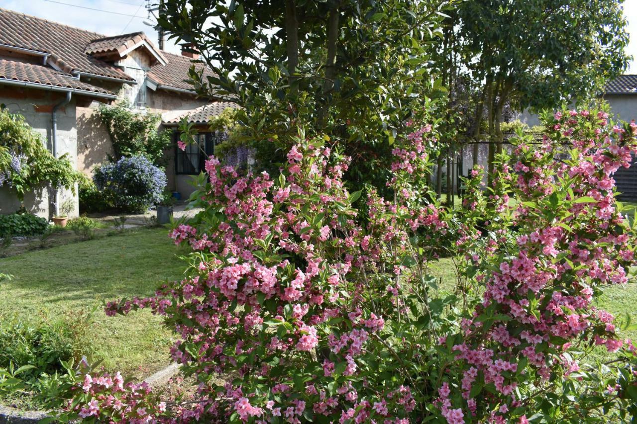 La Maison Molières Montauban Esterno foto